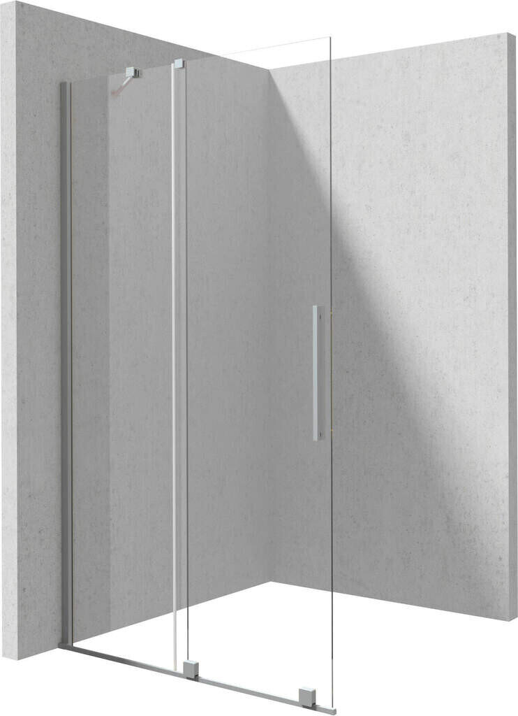 Walk-in lükand dušisein Deante Prizma, Brushed steel, 100x195 cm hind ja info | Dušikabiinide uksed ja seinad | kaup24.ee