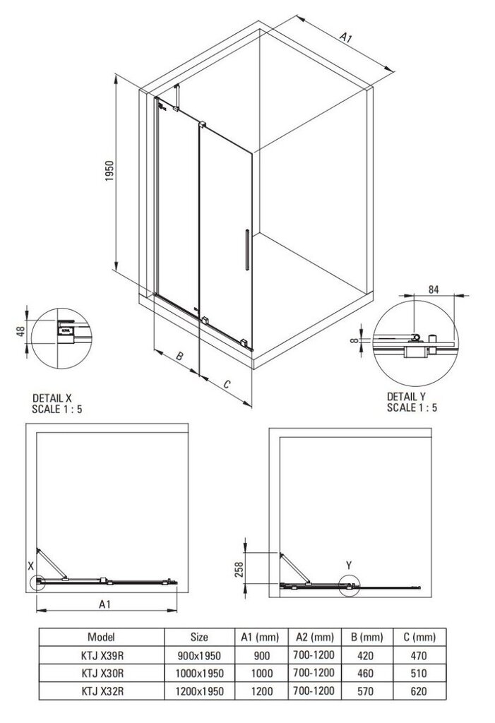 Walk-in lükand dušisein Deante Prizma, Brushed steel, 100x195 cm hind ja info | Dušikabiinide uksed ja seinad | kaup24.ee