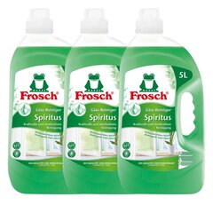 Froch Klaasipuhastusvahend, 3 x 5L hind ja info | Puhastusvahendid | kaup24.ee