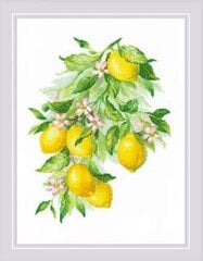 Ristpistekomplekt Lemons 30x40 RIOL2054 hind ja info | Tikkimistarvikud | kaup24.ee