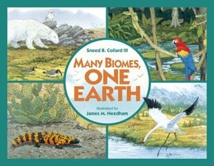 Many Biomes, One Earth hind ja info | Väikelaste raamatud | kaup24.ee