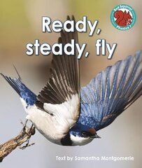 Ready, steady, fly hind ja info | Noortekirjandus | kaup24.ee