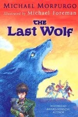 Last Wolf цена и информация | Книги для подростков и молодежи | kaup24.ee