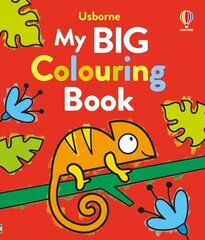 My Big Colouring Book цена и информация | Книги для малышей | kaup24.ee