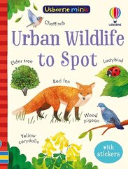 Urban Wildlife to Spot hind ja info | Noortekirjandus | kaup24.ee