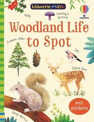 Woodland Life to Spot hind ja info | Noortekirjandus | kaup24.ee