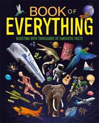 Book of Everything цена и информация | Книги для подростков и молодежи | kaup24.ee