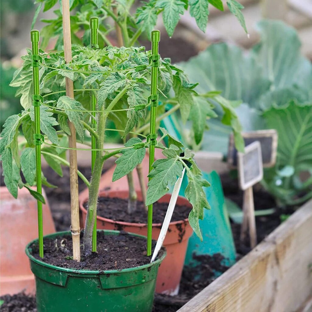 Lillerõnga tugi Springos HA5168 120 cm roheline hind ja info | Dekoratiivsed lillepotid | kaup24.ee