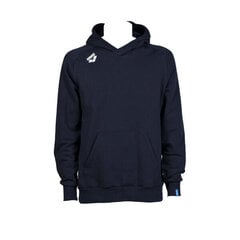 Спортивная куртка унисекс Arena Team Hooded Sweat Panel цена и информация | Мужская спортивная одежда | kaup24.ee