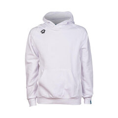 Unisex spordijakk Arena Team Hooded Sweat Panel, valge hind ja info | Meeste spordiriided | kaup24.ee