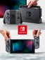 Mängukonsool Nintendo Switch V2, 32GB, Hall (2019) hind ja info | Mängukonsoolid | kaup24.ee