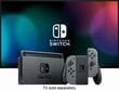 Mängukonsool Nintendo Switch V2, 32GB, Hall (2019) hind ja info | Mängukonsoolid | kaup24.ee