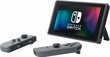 Mängukonsool Nintendo Switch V2, 32GB, Hall (2019) hind ja info | Mängukonsoolid | kaup24.ee