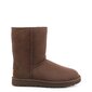 Naiste saapad UGG 15086 hind ja info | Naiste saapad | kaup24.ee