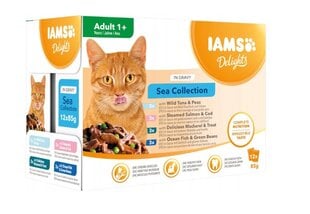 Iams Cat Delights Adult All Breeds Sea In Jelly Pouch, 12x85 g hind ja info | Konservid kassidele | kaup24.ee