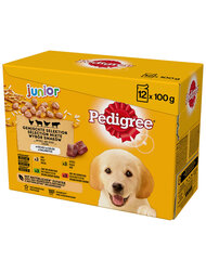 Pedigree Junior 72+24, 100g hind ja info | Konservid koertele | kaup24.ee