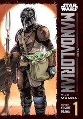 Star Wars: The Mandalorian: The Manga, Vol. 1 цена и информация | Фантастика, фэнтези | kaup24.ee