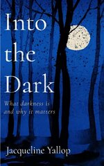 Into the Dark: What darkness is and why it matters цена и информация | Книги по социальным наукам | kaup24.ee