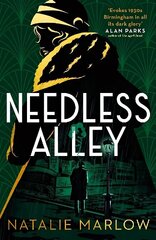 Needless Alley: The critically acclaimed historical crime debut hind ja info | Fantaasia, müstika | kaup24.ee