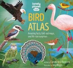 Lonely Planet Kids Bird Atlas hind ja info | Majandusalased raamatud | kaup24.ee