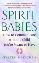 Spirit Babies: How to Communicate with the Child You're Meant to Have hind ja info | Fantaasia, müstika | kaup24.ee