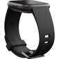 Fitbit Versa 2 Black/Carbon hind ja info | Nutikellad (smartwatch) | kaup24.ee