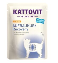 Kattovit Feline Diet Recovery с курицей, 85 гр цена и информация | Кошачьи консервы | kaup24.ee