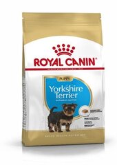 Корм для собак Royal Canin Yorkshire Terrier 29 Junior 0,5 кг цена и информация | Сухой корм для собак | kaup24.ee