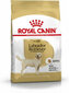 Royal Canin Labrador Retriever Adult, 12 kg hind ja info | Kuivtoit koertele | kaup24.ee
