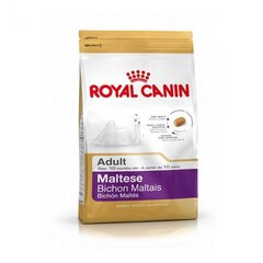 Корм для собак Royal Canin Maltese Adult 0,5 kg цена и информация |  Сухой корм для собак | kaup24.ee