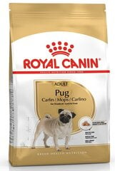 Royal Canin для взрослых мопсов Pug Adult, 1,5 кг цена и информация | Сухой корм для собак | kaup24.ee