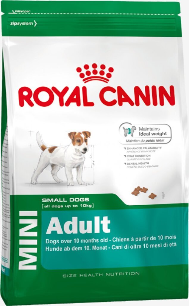 Kuivtoit koertele Royal Canin Mini Adult 0,8 kg цена и информация | Kuivtoit koertele | kaup24.ee