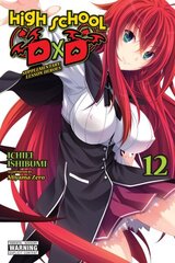 High School DxD, Vol. 12 (light novel) hind ja info | Fantaasia, müstika | kaup24.ee