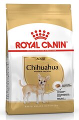 Royal Canin Chihuahua 1,5 kg hind ja info | Kuivtoit koertele | kaup24.ee