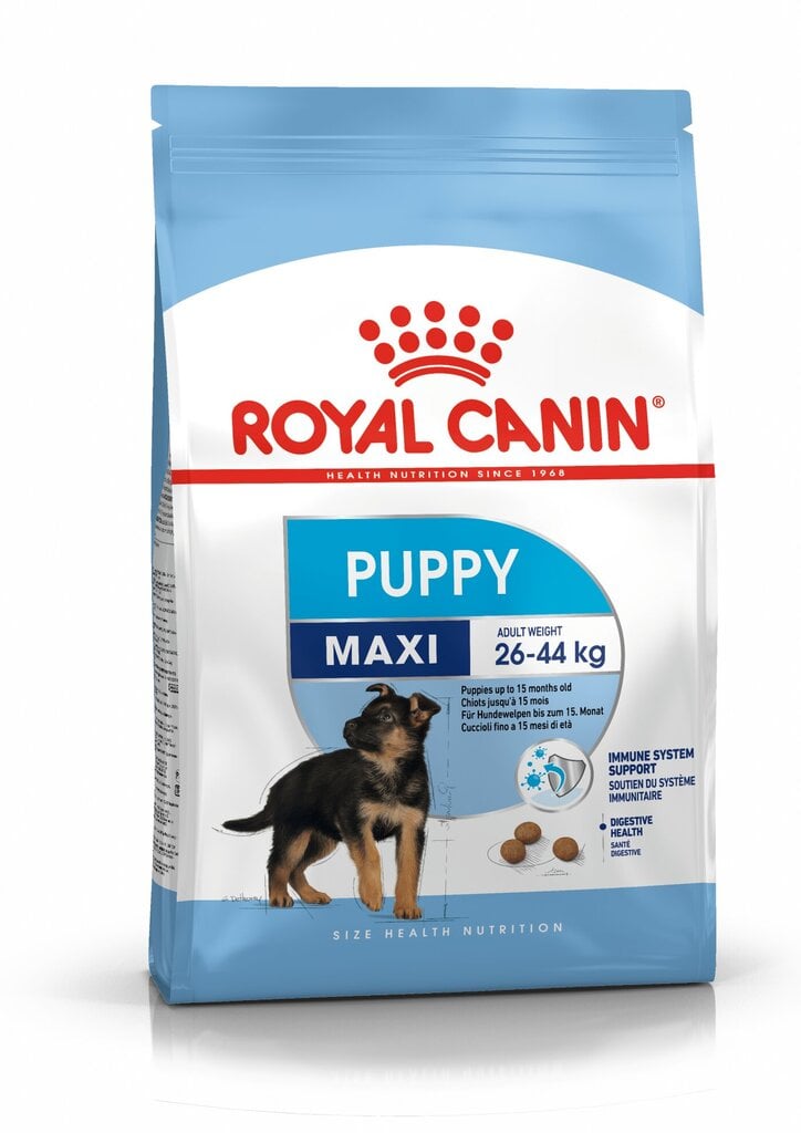 Royal Canin Maxi Junior, 4 kg цена и информация | Kuivtoit koertele | kaup24.ee