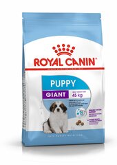 Royal Canin Giant Puppy, 15 kg цена и информация |  Сухой корм для собак | kaup24.ee