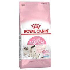 Royal Canin Babycat, 400 г цена и информация | Сухой корм для кошек | kaup24.ee