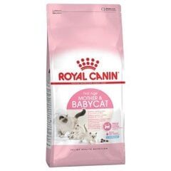 Сухой корм для кошек Royal Canin Babycat 2 kg цена и информация | Сухой корм для кошек | kaup24.ee