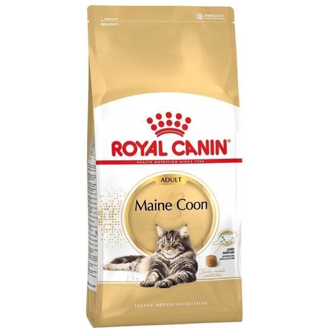 Royal Canin Maine Coon 400 g hind ja info | Kuivtoit kassidele | kaup24.ee