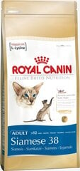 Сухой корм для кошек Royal Canin Siamese, 400 г цена и информация | Сухой корм для кошек | kaup24.ee