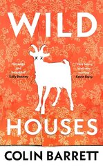 Wild Houses: One of the Observer's Debut Novels of 2024 hind ja info | Fantaasia, müstika | kaup24.ee