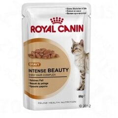 Корм для кошек Royal Canin Intense Beauty in Gravy Pouch, 12x85 гр цена и информация | Кошачьи консервы | kaup24.ee