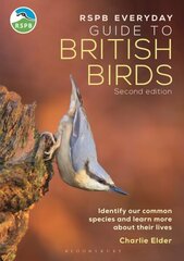 RSPB Everyday Guide to British Birds: Identify our common species and learn more about their lives 2nd edition цена и информация | Книги о питании и здоровом образе жизни | kaup24.ee