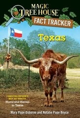 Texas цена и информация | Книги для подростков и молодежи | kaup24.ee