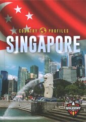 Singapore hind ja info | Noortekirjandus | kaup24.ee