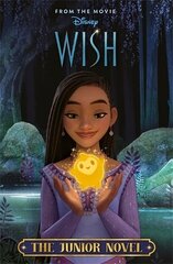 Disney Wish: The Junior Novel hind ja info | Noortekirjandus | kaup24.ee