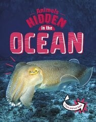 Animals Hidden in the Ocean цена и информация | Книги для подростков и молодежи | kaup24.ee