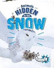 Animals Hidden in the Snow цена и информация | Книги для подростков и молодежи | kaup24.ee