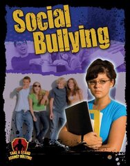 Social Bullying hind ja info | Noortekirjandus | kaup24.ee