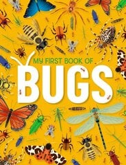 First Book of Bugs цена и информация | Книги для подростков и молодежи | kaup24.ee